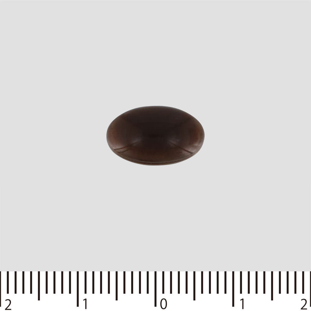 maruman Ginkgo Biloba Extract 200 Capsules 66 days japanese supplements