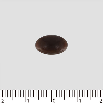 maruman Ginkgo Biloba Extract 200 Capsules 66 days japanese supplements